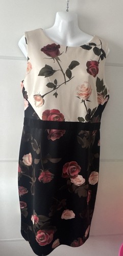 Phase eight rose - phase,