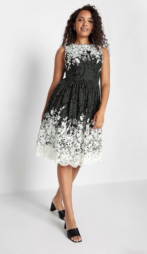 Lace border dress - m&co,