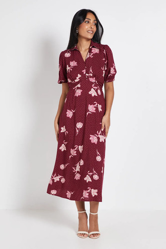 Dorothy perkins berry - berry, midi