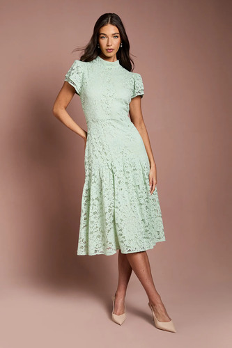 Coast sage midi dress womens - coast,
